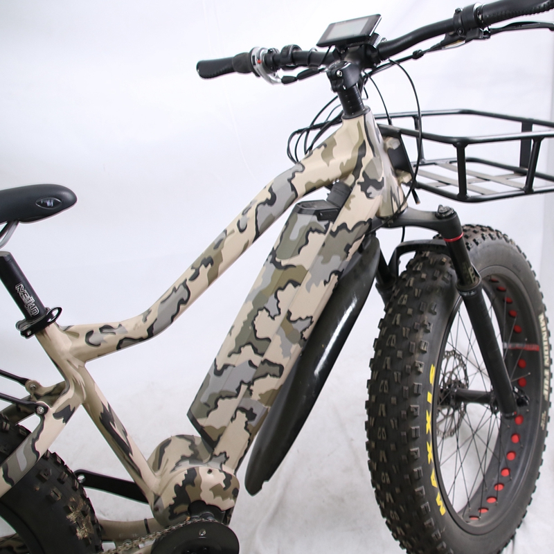 Lelli Cheap 48v 750w 1000w Belt Driven Mid Motor Fat Tire Electric Bike
