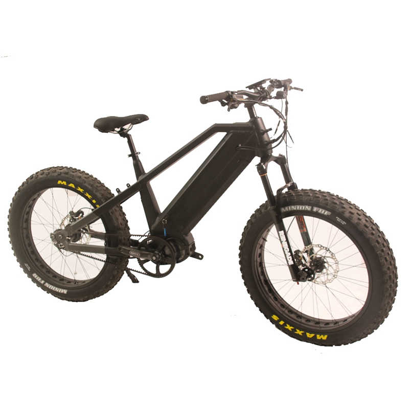 2020 Bafang M620 Motor Mid Drive Fat Tire Electric Mountain Bike /eMTB with Hard Tail 