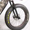 Lelli Cheap 48v 750w 1000w Belt Driven Mid Motor Fat Tire Electric Bike