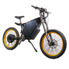 2020 Electric Motor Bicycle 3000w Stealth Bomber Electric Mountain Bike Emtb Made in China